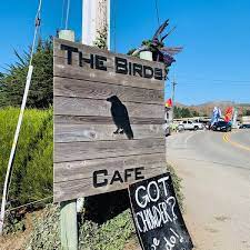 We did not find results for: The Birds Cafe Bodega Bay Ca