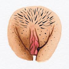 BUTTERFLY WINGS — The Vulva Gallery