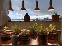 These are very bright in comparison to my existi. The 7 Best Grow Lights Of 2021