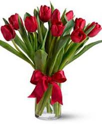 Can you order flowers from hearts and flowers? Valentine Tulip Vase Fresh Pei Grown Tulips In A Vase In Charlottetown Pe Hearts And Flowers