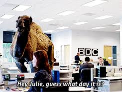 Glass paint is baked on so it is able to be washed. Best Commercial Humpday Geico Camel Gif On Gifer By Togul