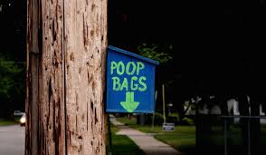 Click to view other data about this site. What Is The Most Environmentally Friendly Way To Dispose Of Your Pup S Waste One Green Planet