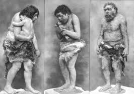 So did all denisovans look like australian originals, or indigenous one denisovan population came to inhabit a vast territory possibly extending from central asia, siberia. Evolution Of Modern Humans Neandertals