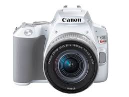 #أفضل_كاميرا #لليوتيوب_وبسعر_رائع # كاميرا nikon d3500 صغيرة الحجم وسهلة الاستخدام وهي مصممه لتكون مره مع كثير من التحسينات d2000, مواصفات كاميرا كانون 2000d, مواصفات كاميرا فيديو سونى 2500, مواصفات كاميرا سوني w800, مواصفات كاميرات كانون. What You Need To Know About Canon S Eos Rebel Sl3 250d Digital Photography Review