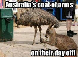 Pin By Ian Eddison On Meanwhile In Australia Australia Funny Meanwhile In Australia Australia