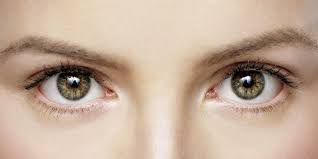 Bu Guru Ria - Bagian, Fungsi, dan Kesehatan Mata