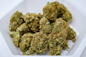 We did not find results for: How To Get A Medical Marijuana Card In Pennsylvania Marijuana Doctors Online Medical Card Directory