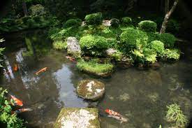 Koi Pond At Sanzen In In Ohara Japan Japanese Garden Koi Pond Japanese Garden Design