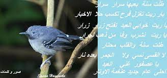 العصفور وصباح النور1 lias animals sana a