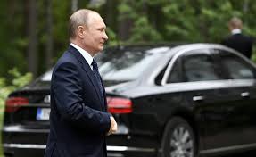 Image result for putin signs