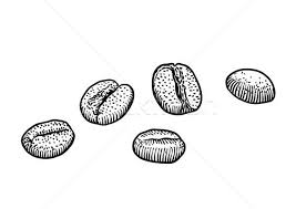 We did not find results for: Coffee Bean Illustration Drawing Engraving Ink Line Art Vector Vector Illustration C Jenesesimre 7947167 Stockfresh