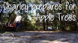 How you will use the fruit you harvest is an important question when. How To Grow Apple Trees In Georgia Preparing The Soil Youtube