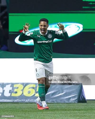 Camiseta do Palmeiras