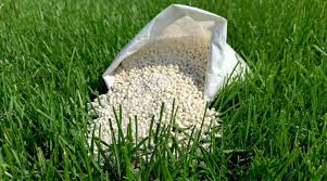 Weeds cannot grow in a healthy lawn as they are crowded out. Best Lawn Fertilizer 2021 Reviews