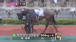 グラスワンダーは３歳時に有馬記念、４歳時に宝塚記念と２度目の有馬記念に勝ち「グランプリ３連覇」を果たした名馬です。 その強さから「怪物」といわれ、同期の エルコンドルパサー 、 スペシャルウィーク とともに「３強」を形成しました。 Fwn6rhzd4aj7wm