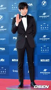 Every year the baeksang arts awards honor excellence in south korea's film, television and theater industry. Baeksang Arts Awards 2017 Full Eng Sub