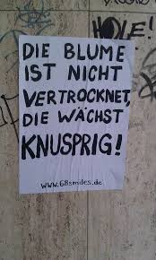 Knusprige Blumen In 2020 Garden Quotes Art Quotes Words