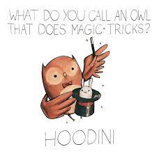 Puns Punny Jokes Cute Jokes Funny Puns