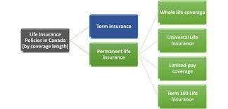 Maybe you would like to learn more about one of these? An Outline Of The Various Types Of Life Insurance Policies Financial Independence Hub