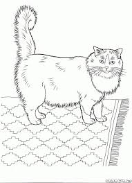 You need a large crayon or colored pencil selection to create accurate colors, so you can create accurate looking fur that shows the variety of shades of actual fur when you color the free printable coloring sheet selections to which we link. The Free Coloring Pages World Of Animals Will Introduce Children To The Cats Topic Download And Print O Cat Coloring Book Cat Coloring Page Coloring Pages