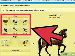 3 Ways To Get Lots Of Money On Howrse Wikihow Fun