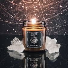 Image result for Dyschoriste capricornis