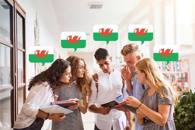 The Welsh-medium school dilemma