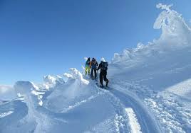 Image result for Hakkoda Walk