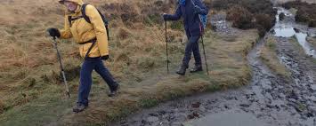 Companion Stones of the Peak District