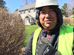Immigrant labor brings Verizon FiOS to Guilderland