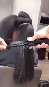 Monique Redding (mreddingdiggs)