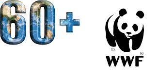 Organizers word wide fund for nature said this year's earth hour wanted to highlight the link between the destruction of nature and an increase in disease outbreaks such organizers called the 2021 even a success. Join One Of The World S Largest Movements For Nature Earth Hour 2021