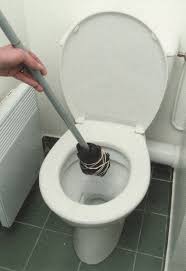 We did not find results for: Comment Deboucher Les Toilettes Rapidement Avec Pas Un Rond