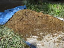 Here Is A Photo Of A Big Steaming Pile Of S T Actually Nice Fresh Stinky Horse Manure I M Going To Put It To Good Use In Manure Composting Compost Manure