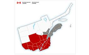 Environment canada is committed to protecting the environment, conserving the country's natural heritage, and providing weather and meteorological information to keep canadians informed and safe. Meteo Longueuil Environnement Canada