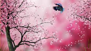 Checkout high quality sakura saber wallpapers for android, desktop / mac, laptop, smartphones and tablets with different resolutions. Sakura Wallpaper 1366x768 59417
