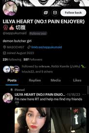 Seppukumaid - stvincent.nupark.com