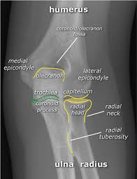 Order of elbow ossification centre development. Startradiology