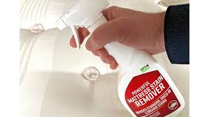 Learn how to clean a mattress from the pros at consumer reports. How To Clean A Mattress Tips Tricks And Our Pick Of The Best Stain Protectors Hoovers And Stain Removers Expert Reviews