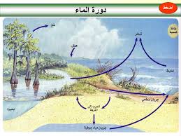 Ppt علم البيئة Powerpoint Presentation Free Download Id 7006559