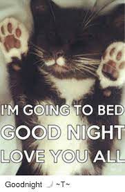 Im Going To Bed Good Night Love You All Goodnight T Meme On Me Me