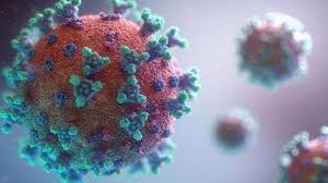 इस वैरिएंड का नाम delta plus है. Coronavirus Delta Plus Variant Found Know How Dangerous It Is à¤¦ à¤¶ à¤® à¤® à¤² à¤• à¤° à¤¨ à¤• Delta Plus Variant à¤œ à¤¨ à¤• à¤¤à¤¨ à¤–à¤¤à¤°à¤¨ à¤• à¤¹ à¤¯ Hindi News