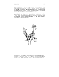 Image result for Landolphia kirkii