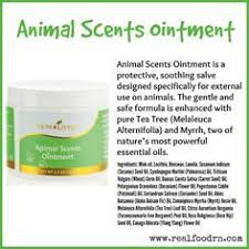 Animal Scents Ointment Real Food Rn Animal Scents Young Living Ointment Essential Oil Scents