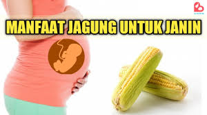 Hasilnya jagung jadi lebih empuk dan lemak! Manfaat Jagung Rebus Untuk Ibu Hamil