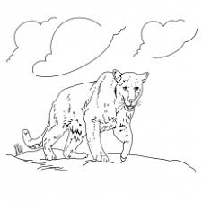Feel free to print and color from the best 37+ black panther coloring pages at getcolorings.com. 10 Printable Panther Coloring Pages Your Toddler Will Love