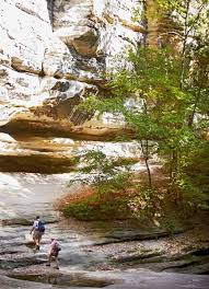 Maybe you would like to learn more about one of these? 82 Starved Rock State Park Ideas Starved Rock State Park State Parks Starved
