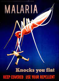 Download 160+ royalty free malaria poster vector images. Fungus Makes Mosquitoes More Susceptible To Malaria