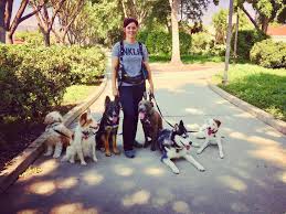 Find great deals on gifts this holiday season. Dog Training Puppy Trainer Obedience Trainer Los Angeles Dog Trainer Ruff Beginnings Rehab Dog Training And Rescue