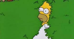 Where there's a lisa simpson meme, there's another blank template meme competing for some of that attention. The Story Of The Homer Simpson Backs Into The Bushes Meme